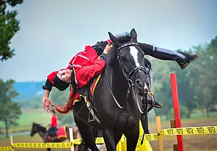 «Одно только спортивное седло обойдется от 1000 у.е. и выше». Сколько стоит хобби наездника