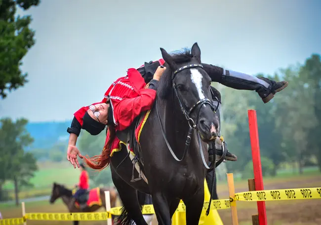 «Одно только спортивное седло обойдется от 1000 у.е. и выше». Сколько стоит хобби наездника