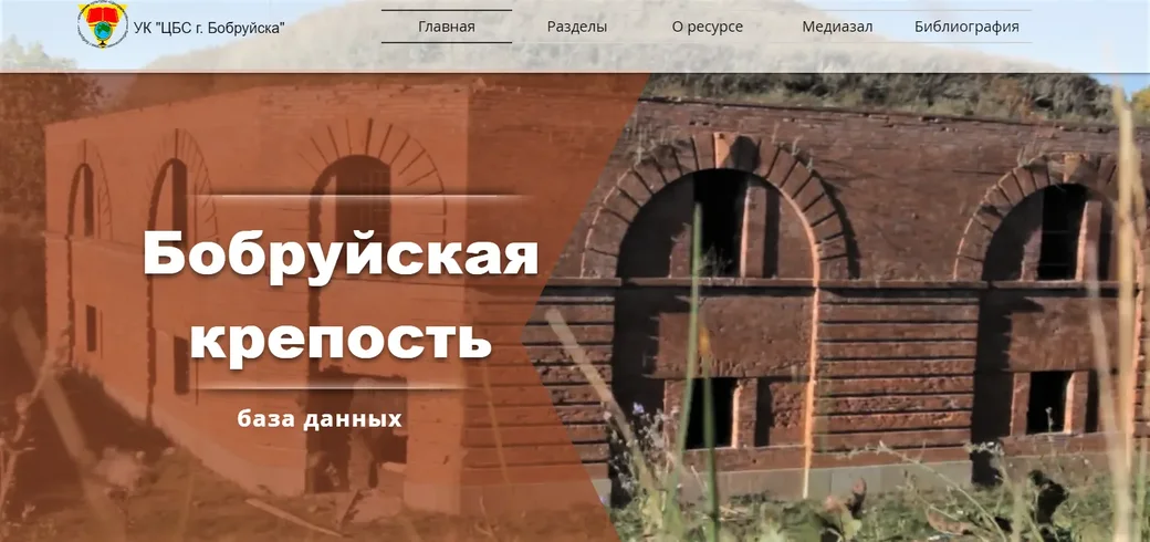 База данных «Бобруйская крепость» с сайта ЦБС bobruisk-library.by, в которой читатели могут найти