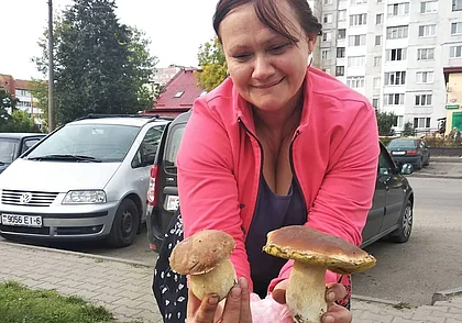 Грибной бум в Бобруйске. Фотофакт