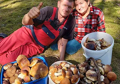 «250 боровиков за два часа!» Фотоконкурс «Тихая охота» продолжается