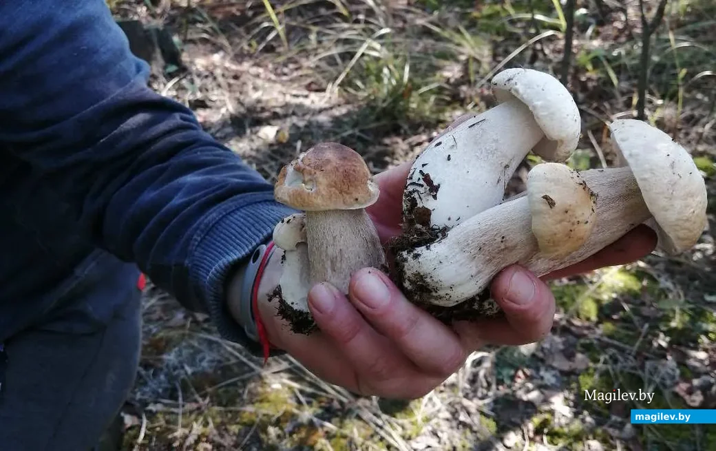 Фото Натальи Егоровой.
