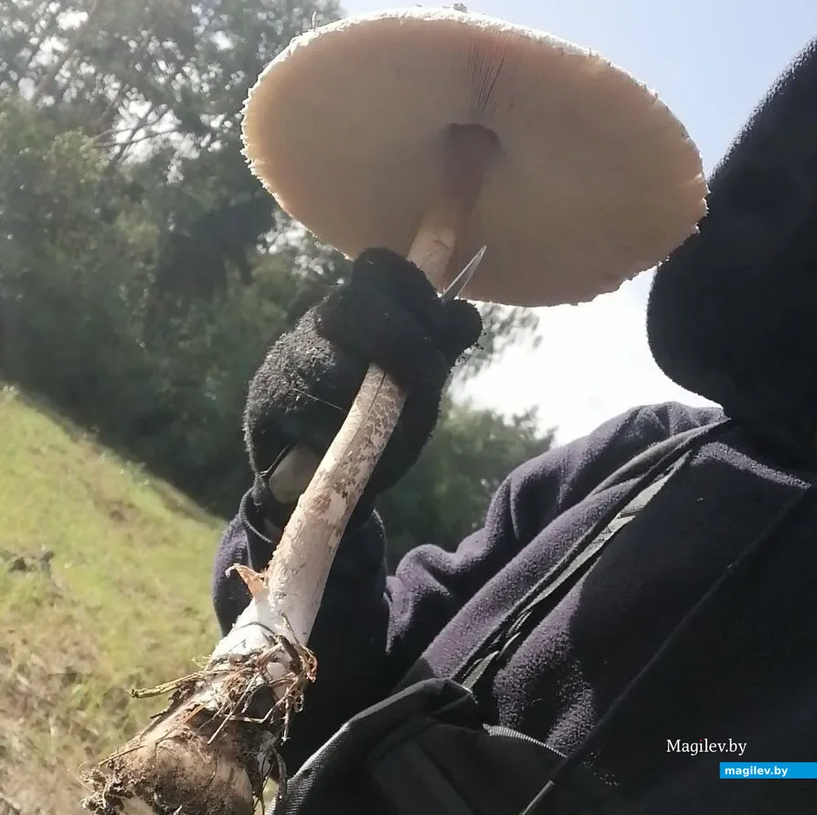 Фото Дениса Кундиренко из Гомеля.