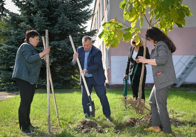 Правительство определило самые чистые и благоустроенные города Беларуси. Бобруйск – в лидерах