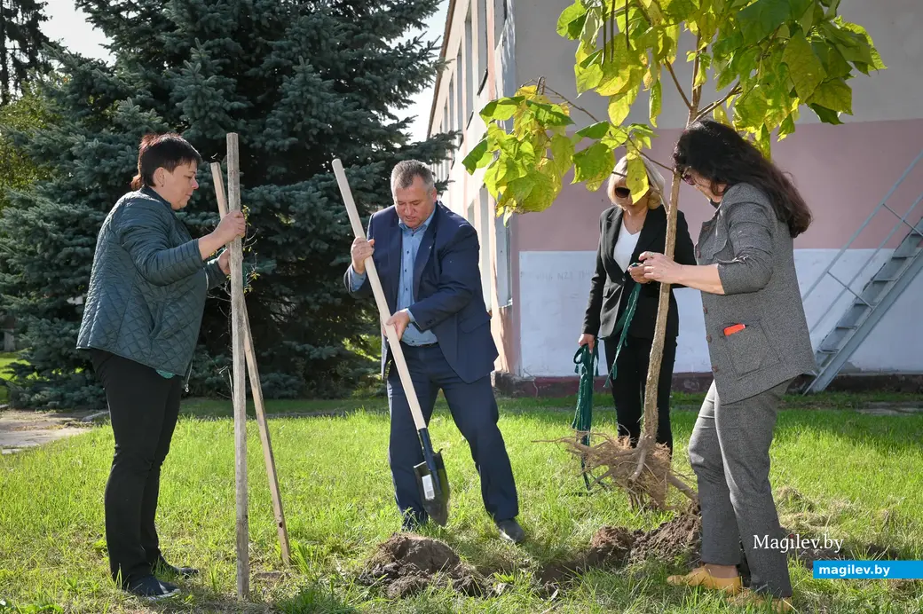 Работники «ФанДОКа» во главе в Андреем Партянковым высаживают аллею на территории гостиничного комплекса – это традиция с 2019 года.