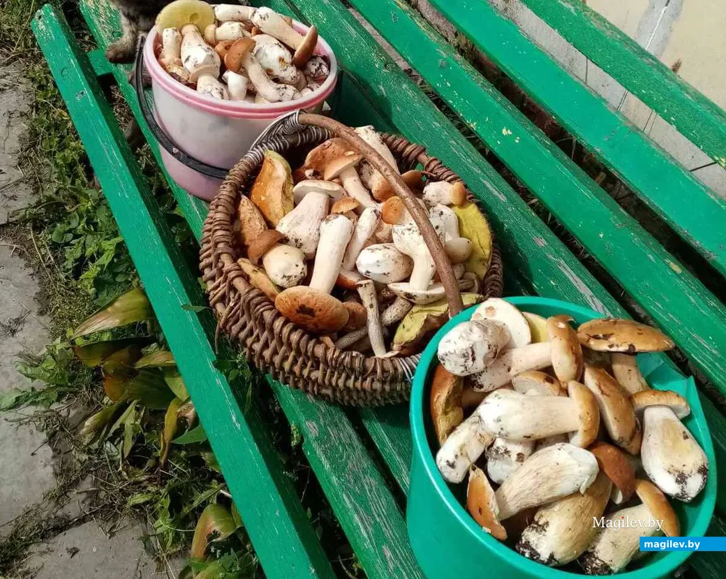 Фото Марии Гуменниковой из Гомеля.