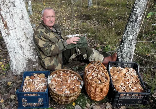 «Заметил, что грибочки любят военные праздники». Фотоконкурс «Тихая охота» продолжается