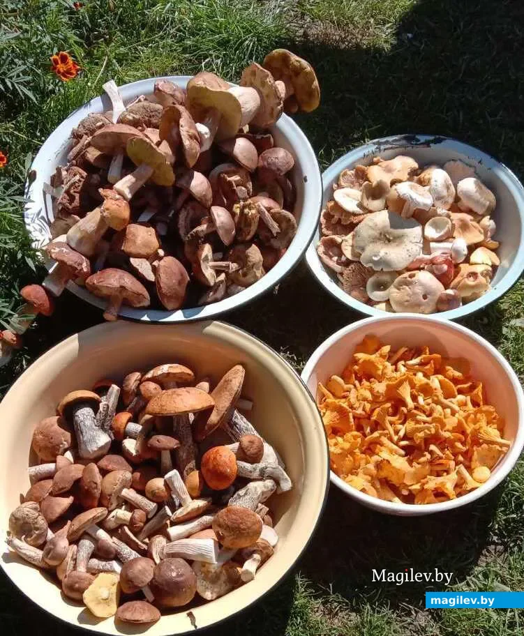Фото Валентины Бондарчик из Минска.