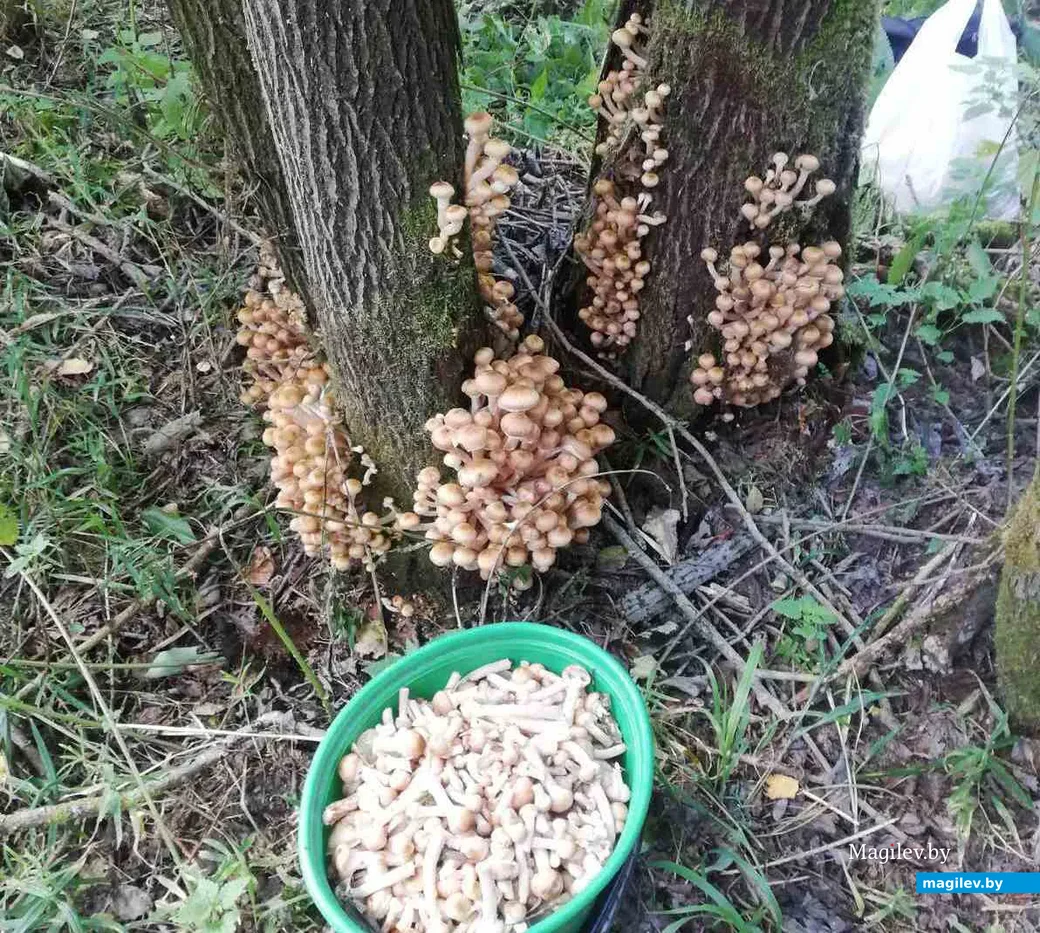 Фото Юлии Новиковой.