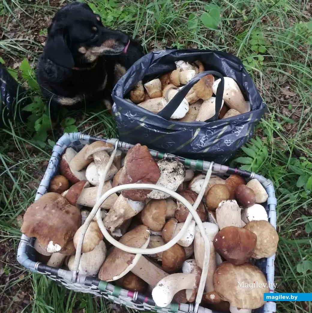 Фото Евгении Кутумовой.