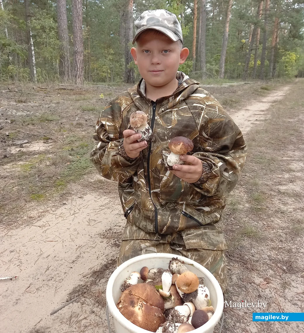 Юный грибник Илья Зинько.