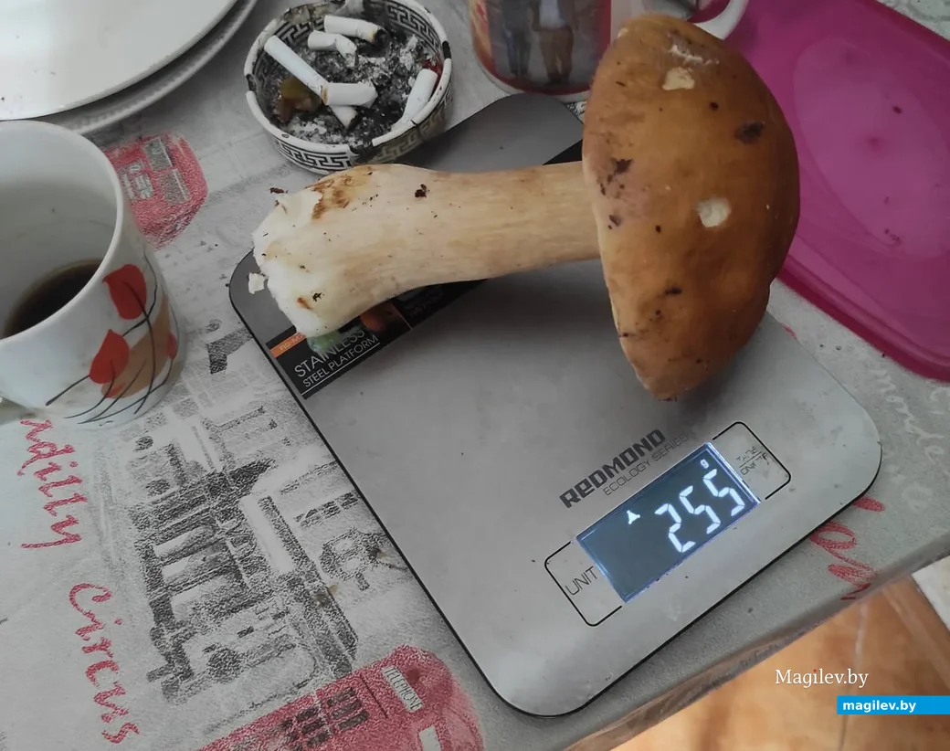 Фото Валерия Петренко из Жлобина.