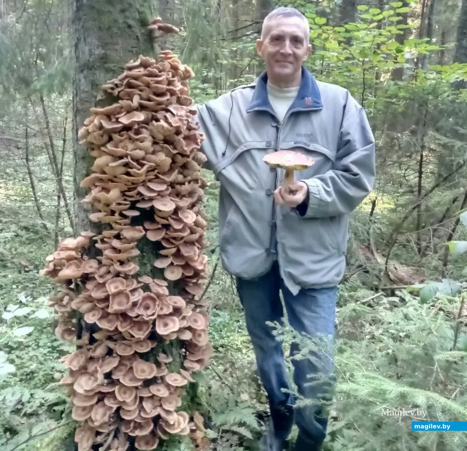 Фото Александра Умнова из Минска.