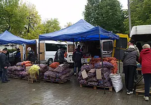 Правила проведения ярмарок изменили в Беларуси