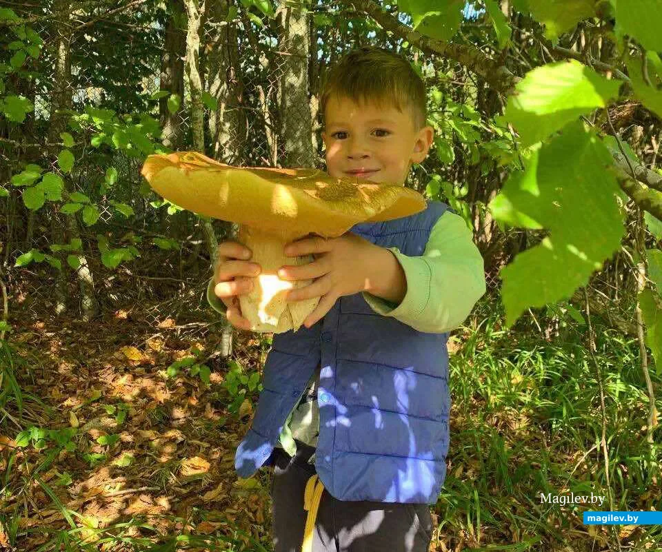 Фото Анны Родичевой из Гомеля.