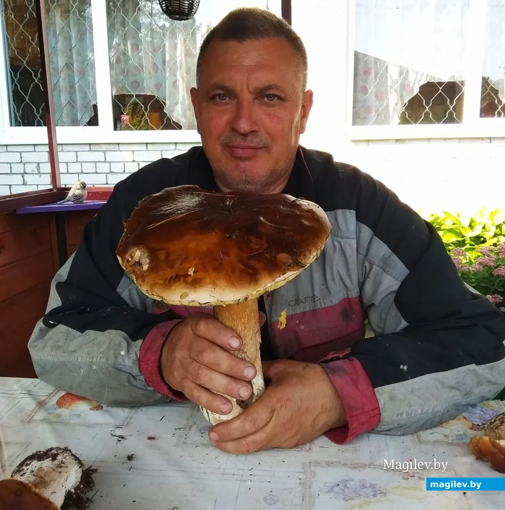 Андрей Суворов.