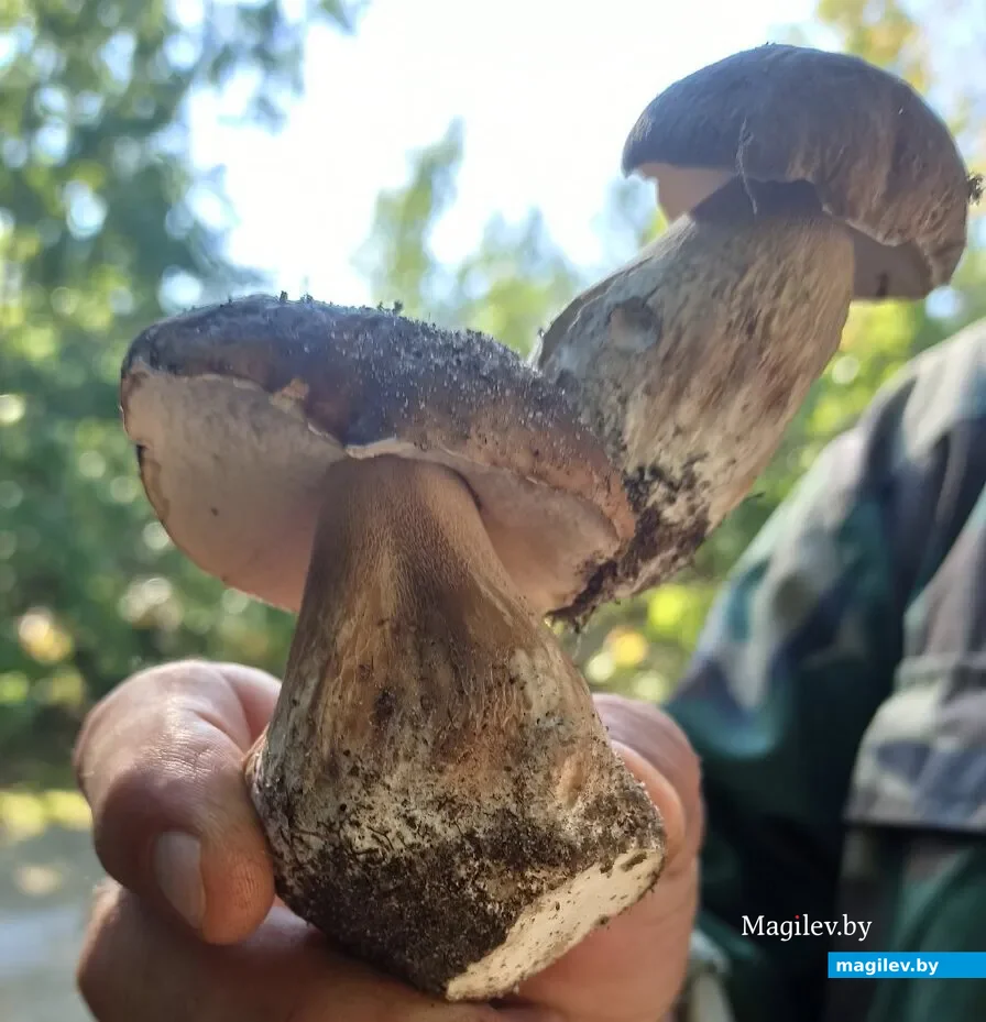 Фото Инны Вусик.