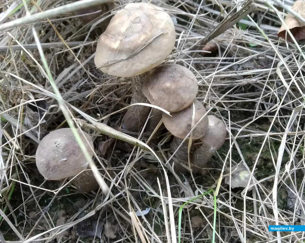 Фото Татьяны Цисановской.