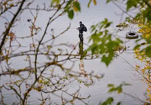 В Беларуси введен запрет на лов сома и чудского сига