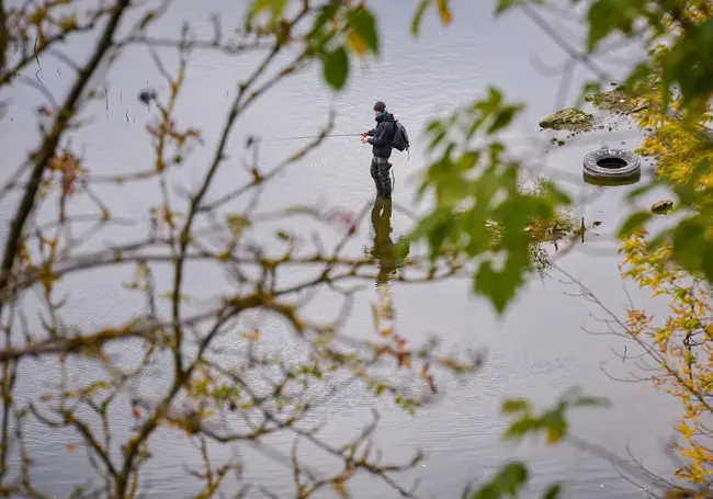 В Беларуси введен запрет на лов сома и чудского сига