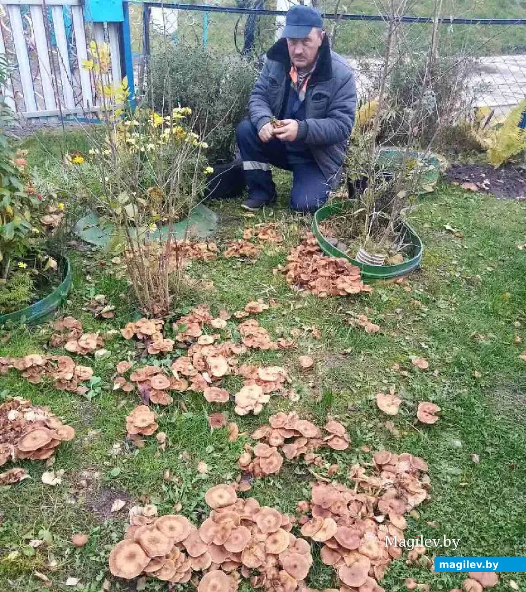 Леонид Милютенков.