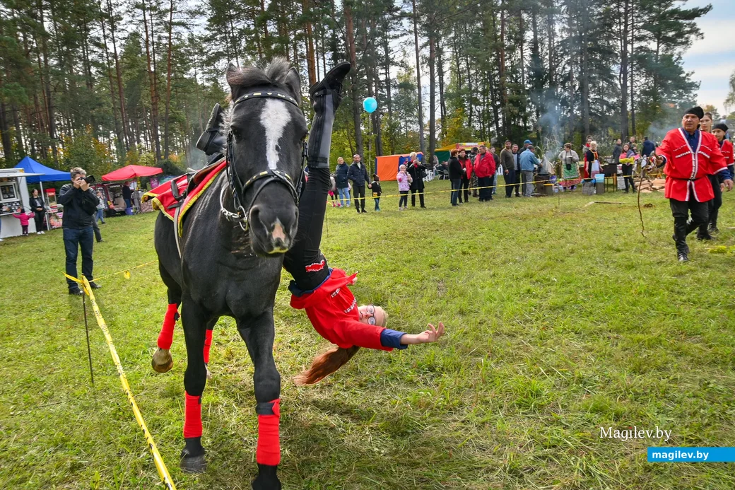 02.10.2021. Глушанский сельский Совет. Региональный фестиваль народного творчества и ремесел