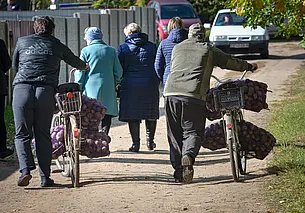 Почем картошка в вайбере? Сравнили цены на сельхозпродукцию в интернете и на рынке