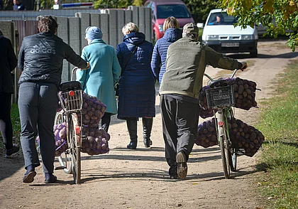 Почем картошка в вайбере? Сравнили цены на сельхозпродукцию в интернете и на рынке