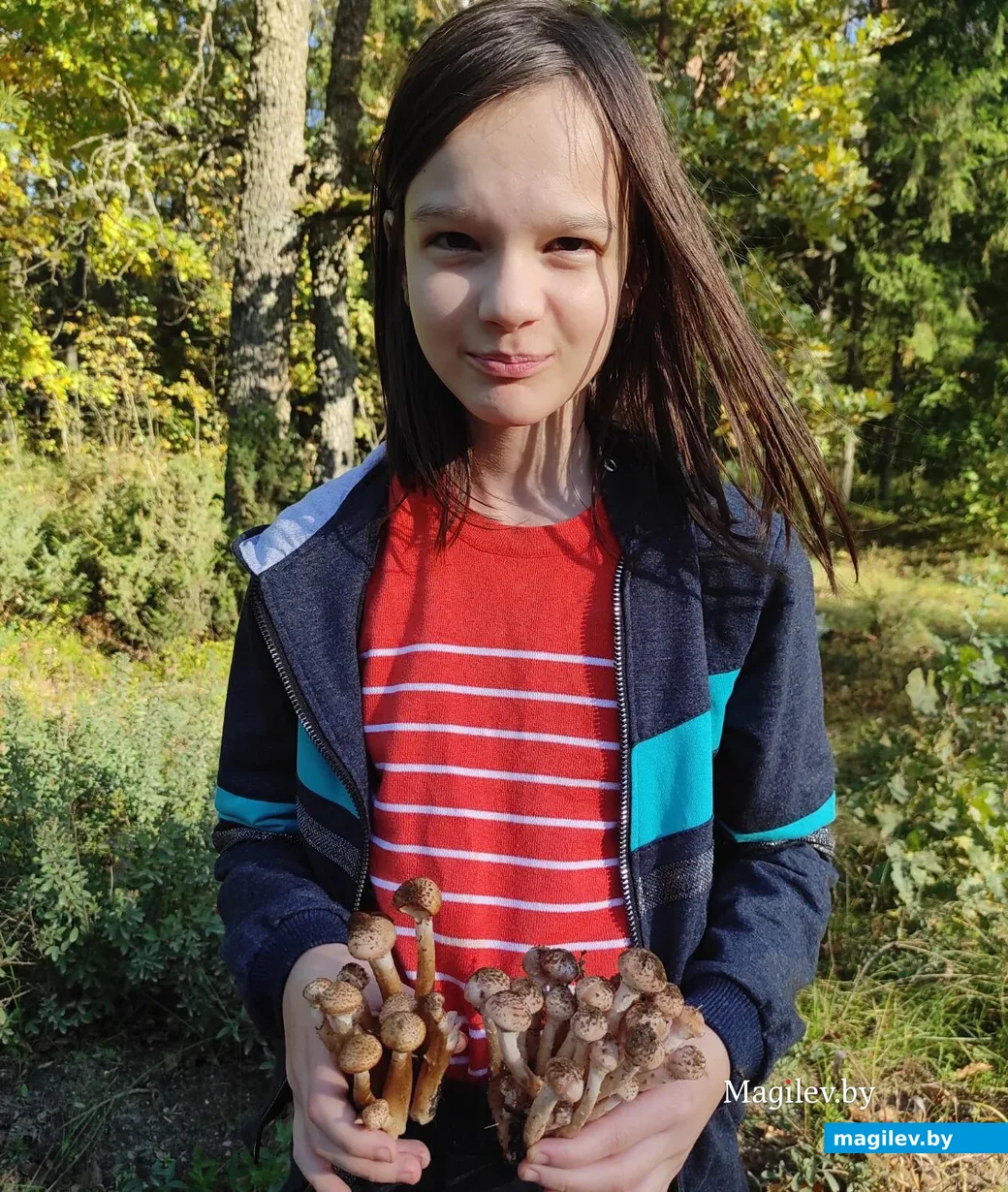 Фото Елены Богдевич из города Берёза Брестской области.