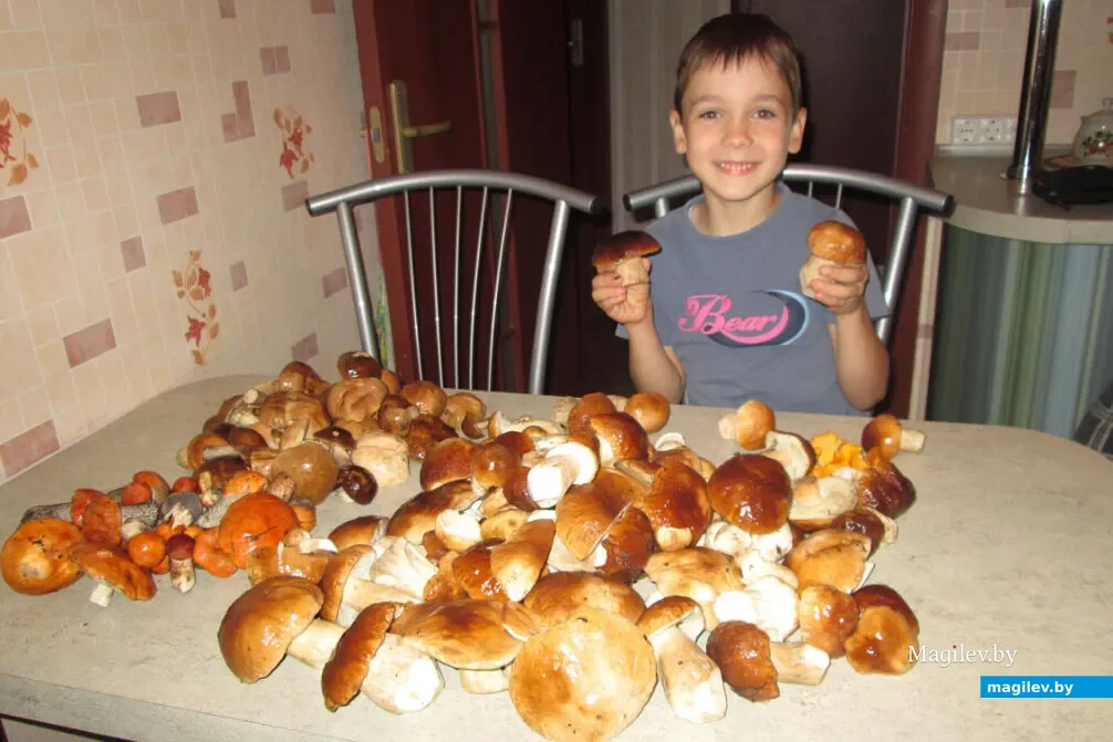 Фото Алеси Базыльчик из Осиповичей.