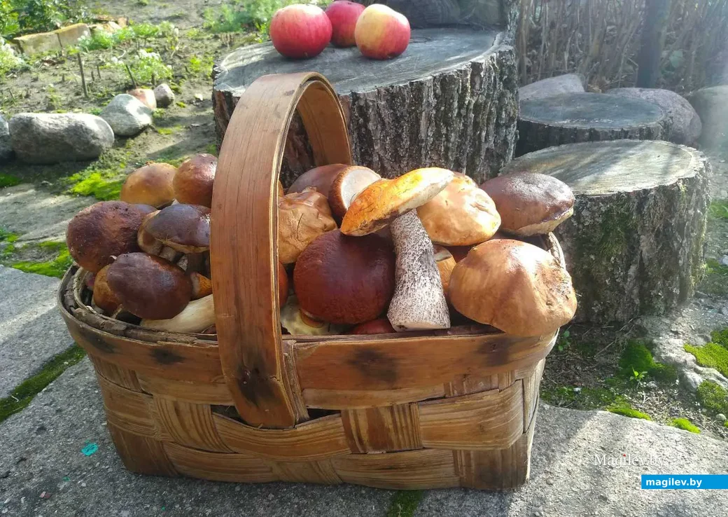 Фото Светланы Лаврусь из Гродно.