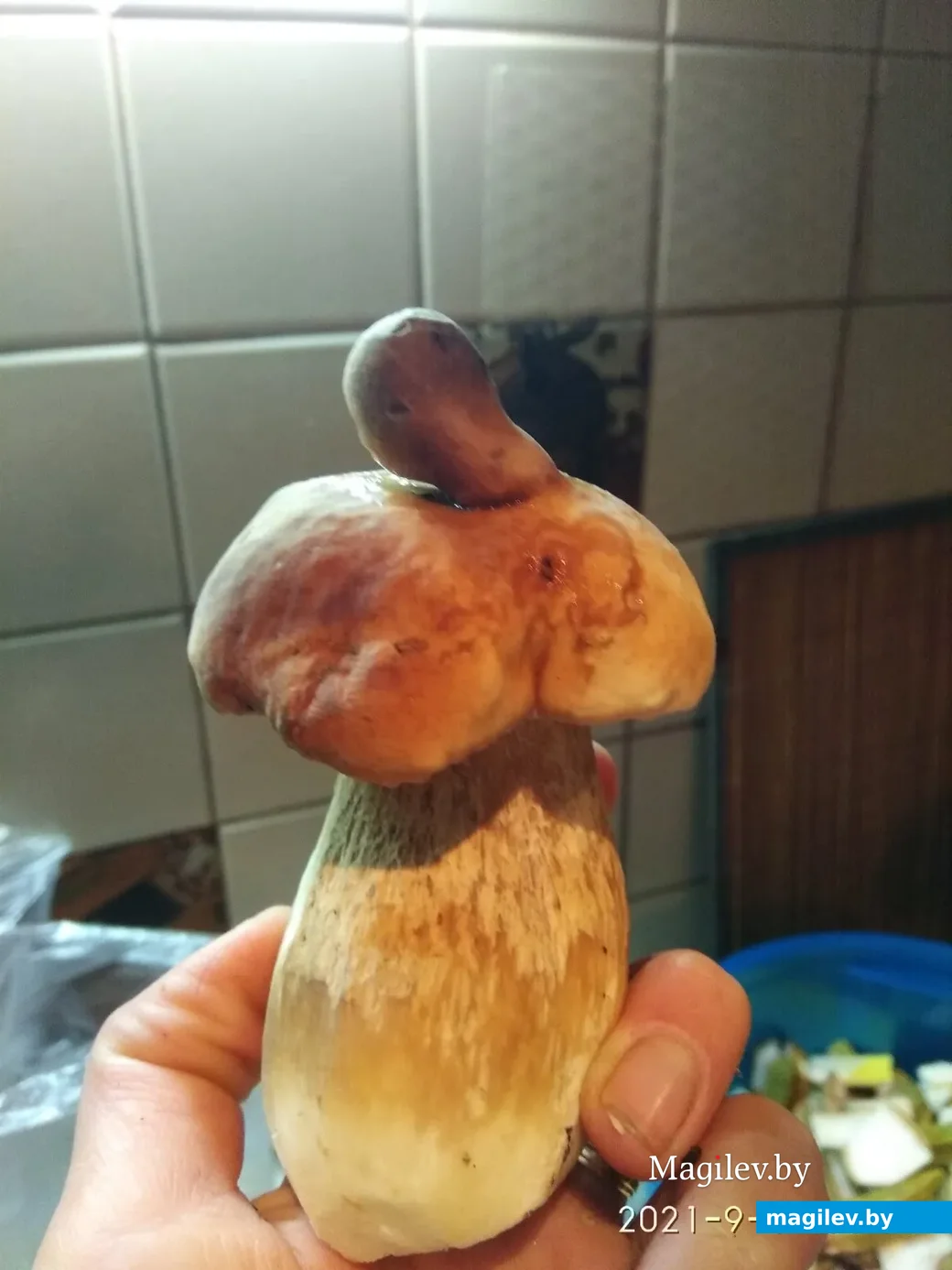 Фото Анны Варивоцкой
