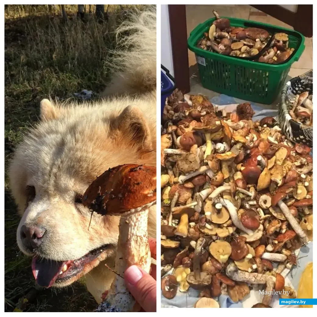 Фото Лидии Кудиной.