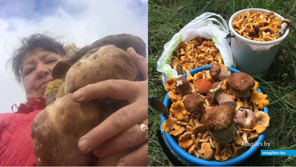Фото Елены Шевструк.