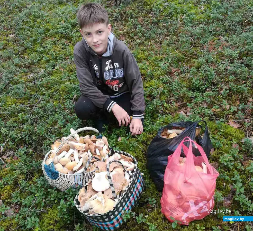 Фото Вячеслава Штуро из Сморгони.
