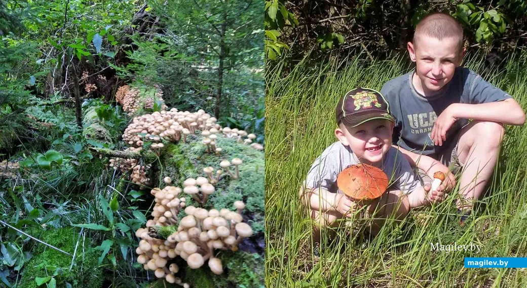 Фото Оксаны Гуминской из Витебска.
