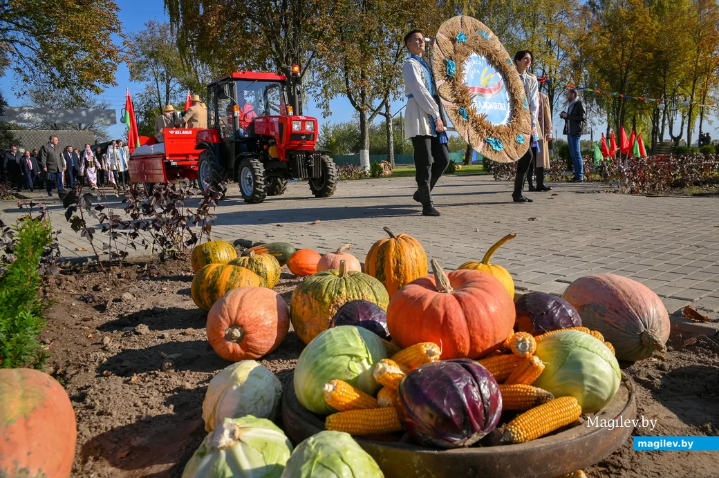 08.10.2021. Ковалевский сельский Совет. Районный фестиваль-ярмарка тружеников села «Дожинки-2021» в