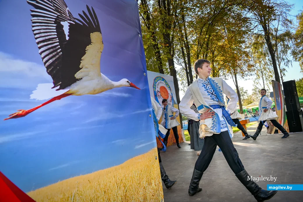 08.10.2021. Ковалевский сельский Совет. Районный фестиваль-ярмарка тружеников села «Дожинки-2021» в