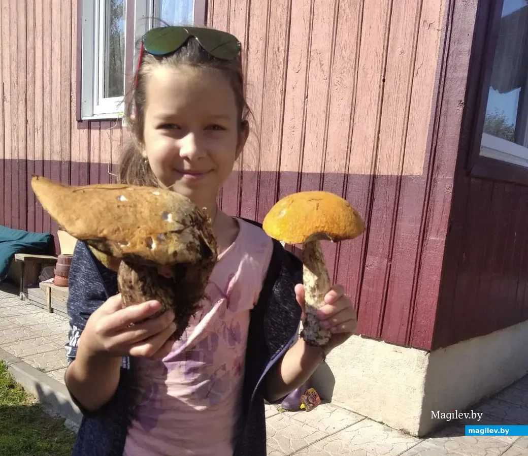 Фото Николая Кищука из Минска.
