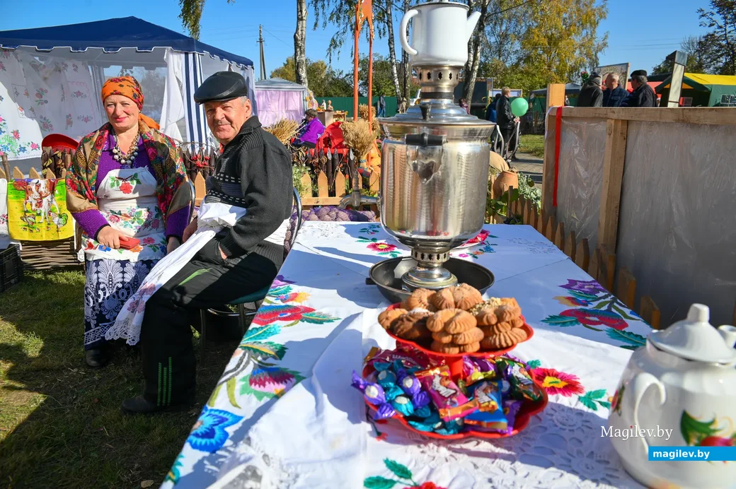 08.10.2021. Ковалевский сельский Совет. Районный фестиваль-ярмарка тружеников села «Дожинки-2021» в