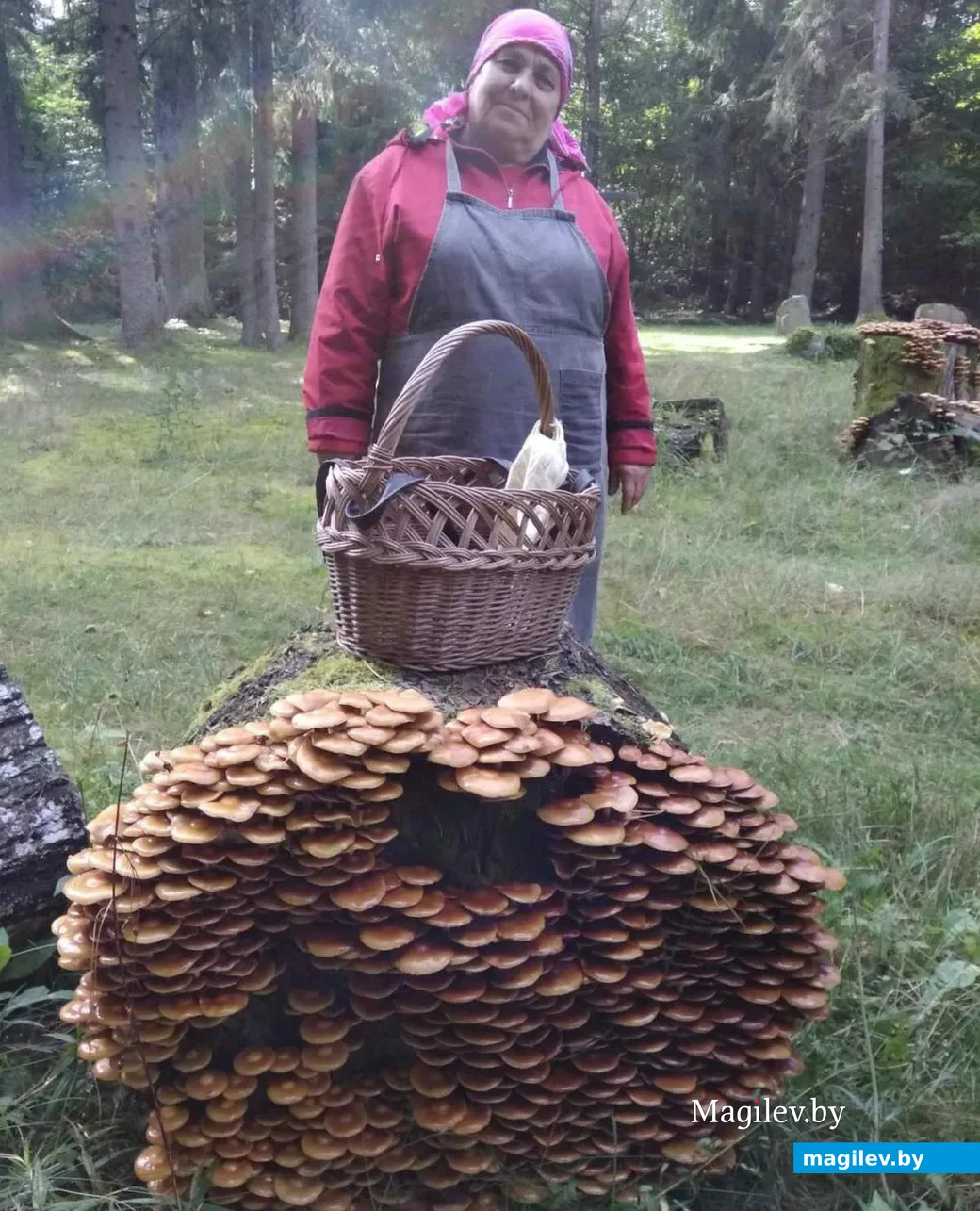 Фото Татьяны Юрчик из Барановичей.