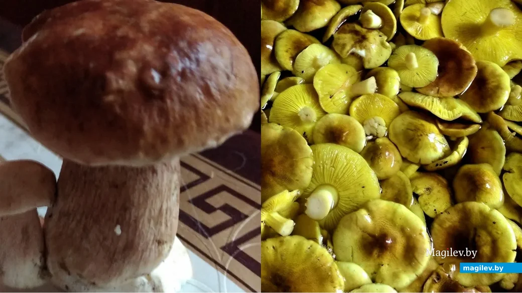 Фото Наталии Насанович из Солигорска.