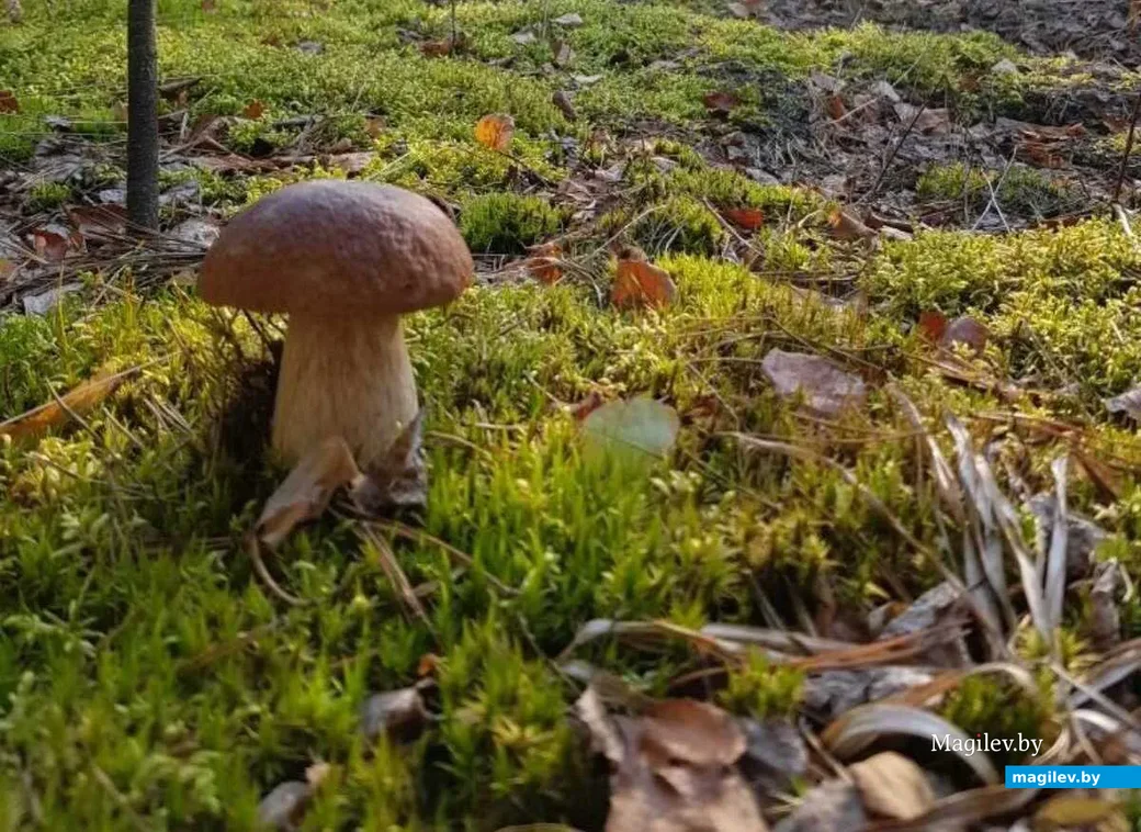 Фото Юлии Куликовой из России.