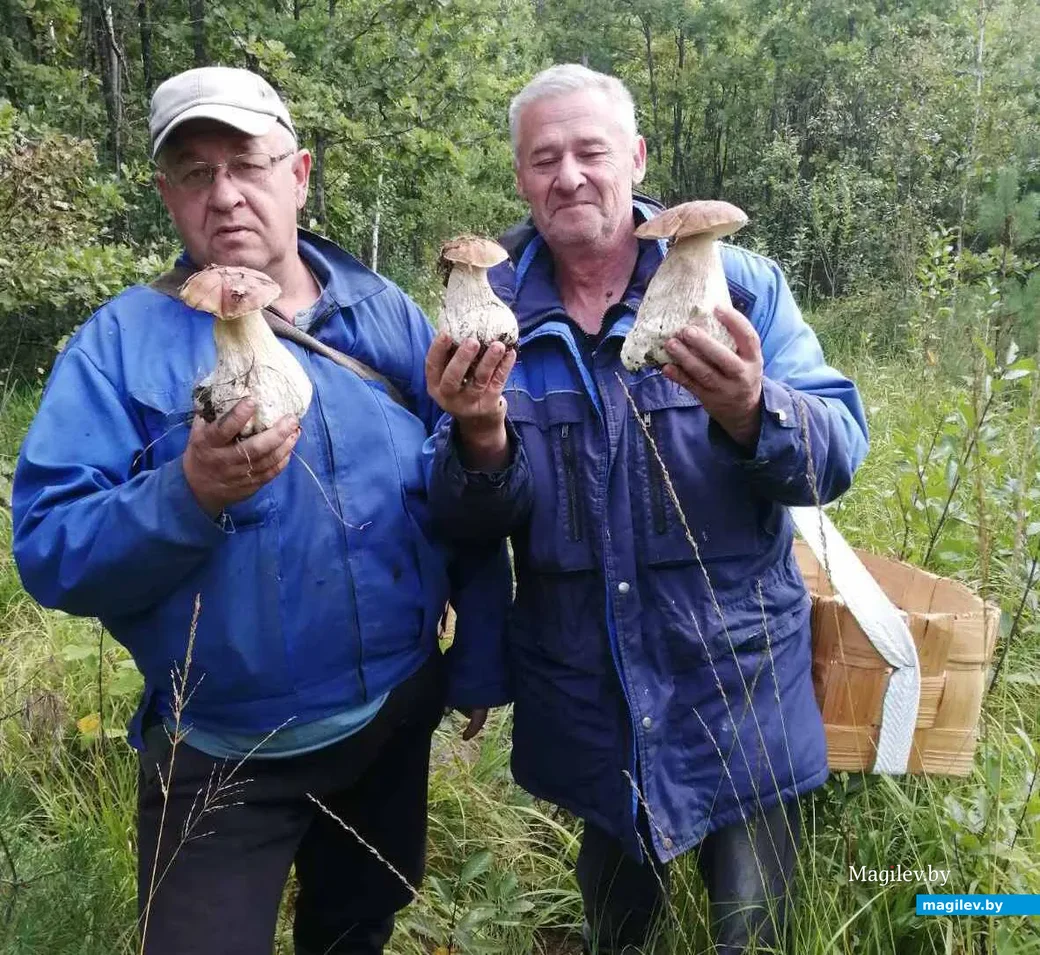 Фото Константина Рыбакова из деревни Буйновичи Лельчицкого района.