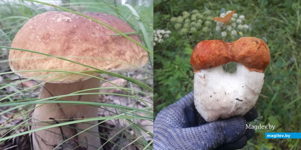 Фото Натальи Меренковой из Челябинска.