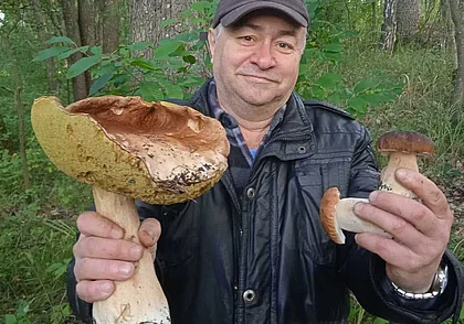 Золотистый боровик, «белые» во дворе и царь-гриб весом более 5 кг