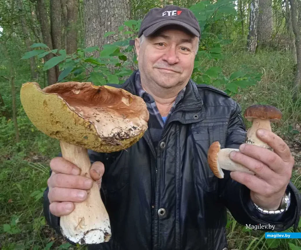 Фото Андрея Белоусова из Гомеля.