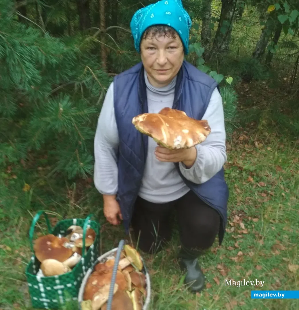 Фото Галины Видинас из деревни Бердовка Лидского района Гродненской области.
