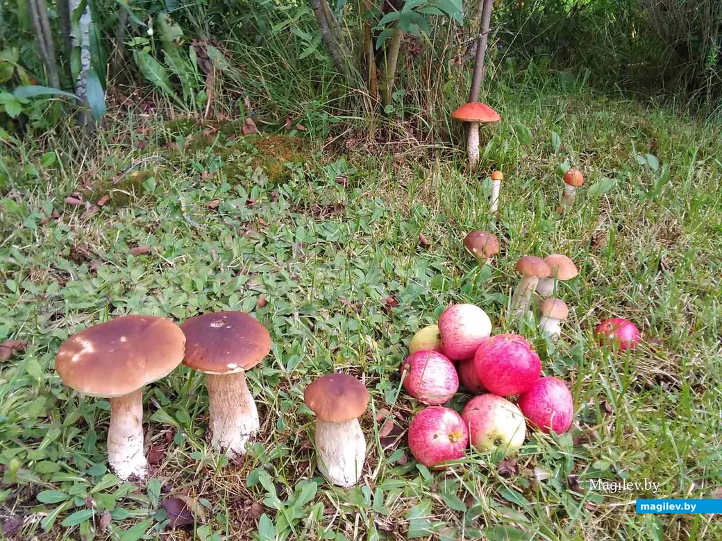 Фото Натальи Низовой