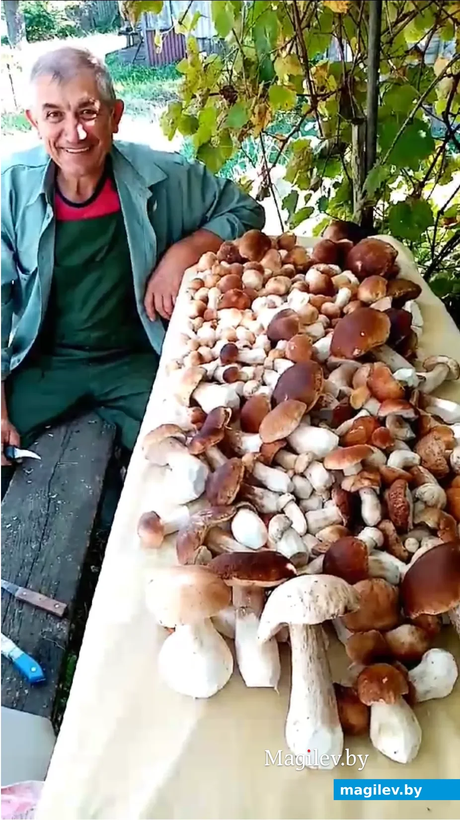 Николай Чех